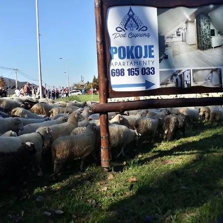 Goscinne Pod Cuprona