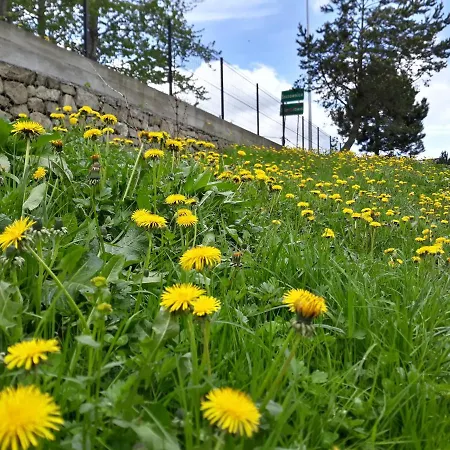 Gościnne Pod Cuproną * Szczawnica