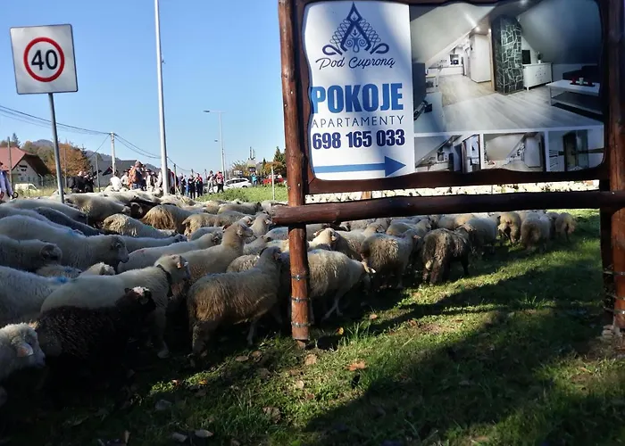 Goscinne Pod Cuprona