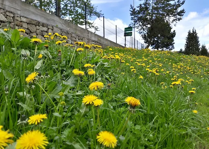 Goscinne Pod Cuprona * Szczawnica